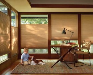 Energy Efficient Meets Fabulous Design