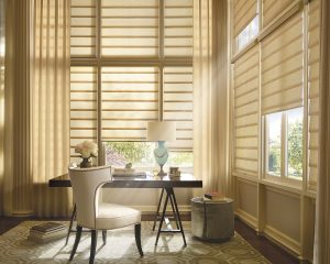 Dual Functioning Shades