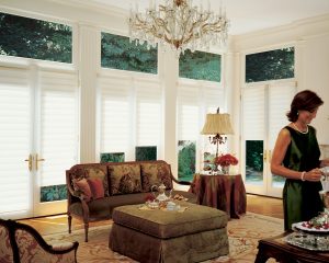 french door shades Kansas City