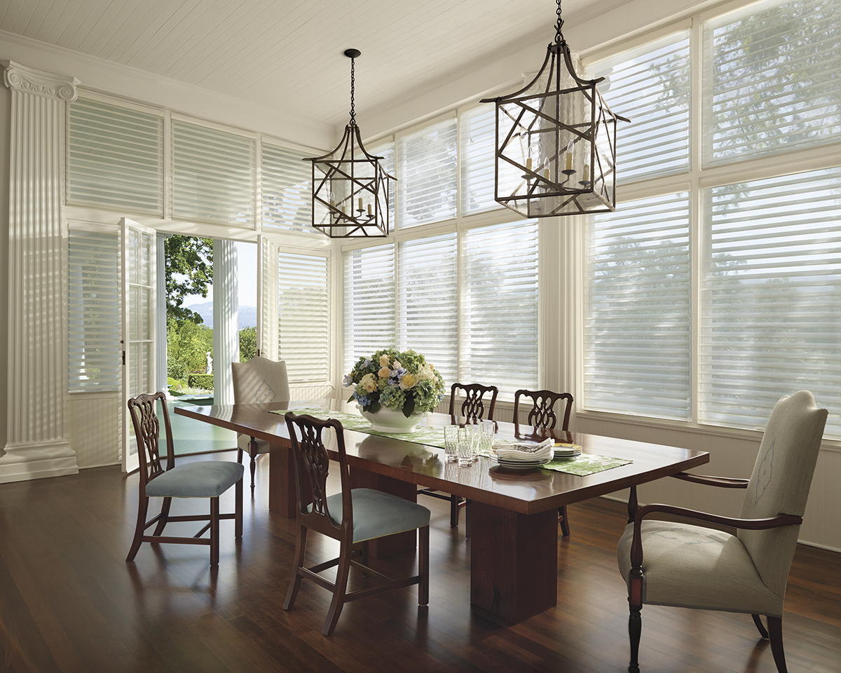 french door shades silhouette