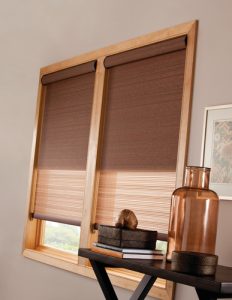 Dual Roller Shades Kansas City