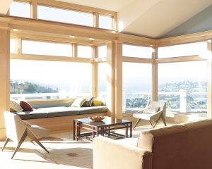 bare windows need large window solutions