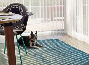 pet safe blinds motorization