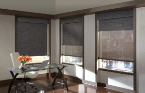 custom roller shades dual shades