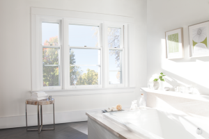 bare window solutions
