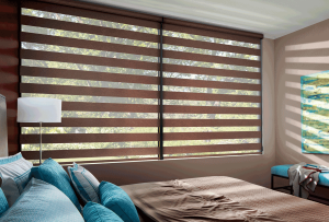 smart accessories voice controlled shades Lee’s Summit 64086