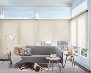 smart accessories IFTTT Hunter Douglas Olathe 66062