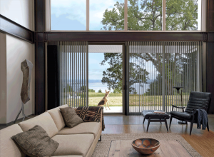 glass door window treatments sliding doors Hunter Douglas Kansas City 64155