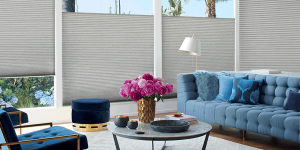 top down shades Hunter Douglas Kansas City 64155