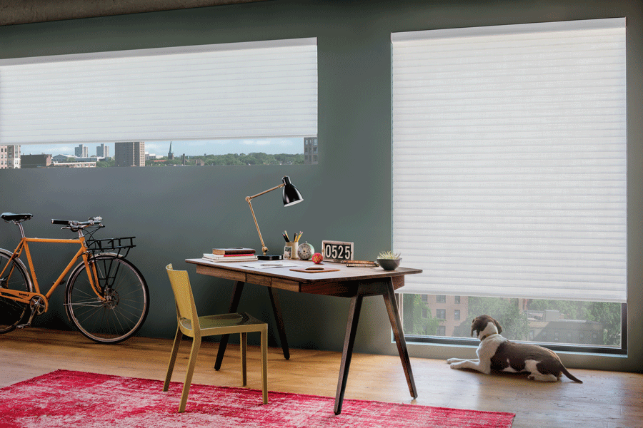 Sonnette Roller Cellular Shades are perfect for our Kansas City space.