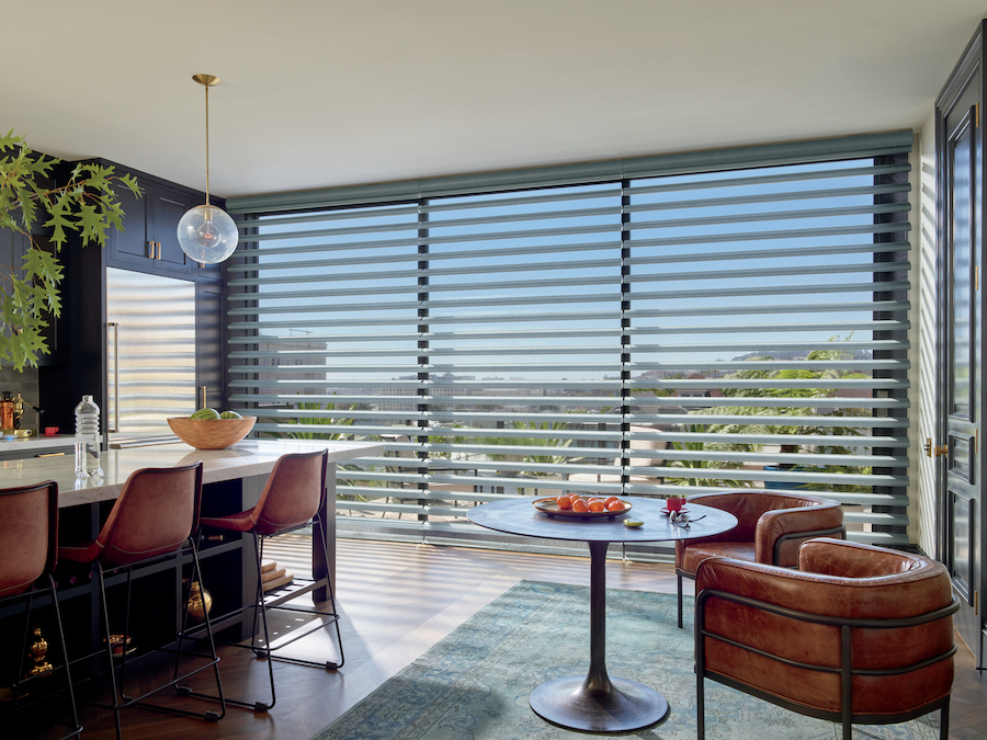 Pirouette sheer shades on floor to ceiling windows.