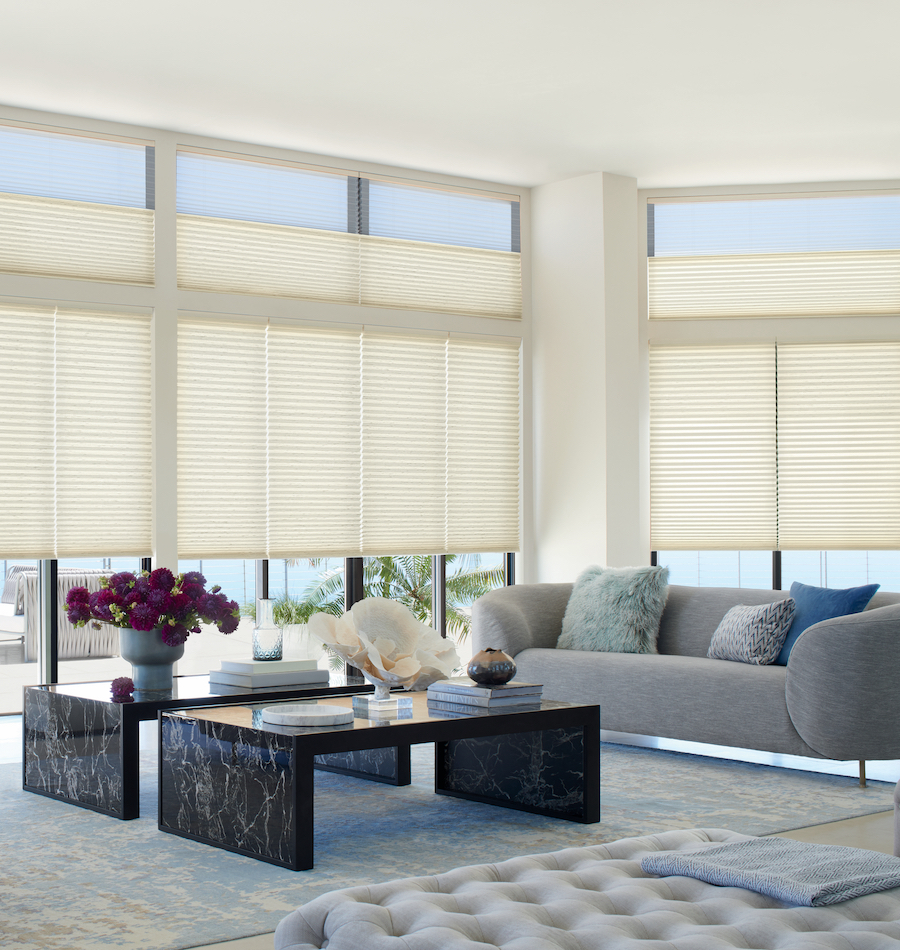 Dual shades perfect for daylighting any space.