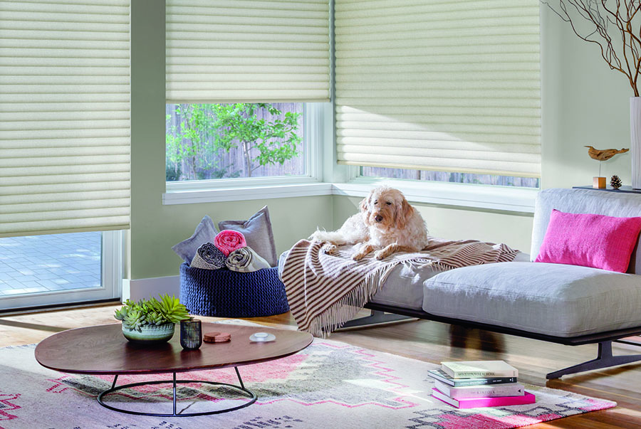 Shades in your smart home allow for comfort for pets too.