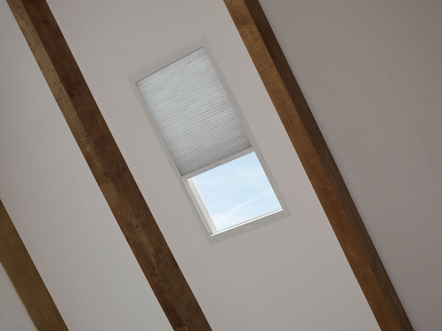 skylight with applause window covering