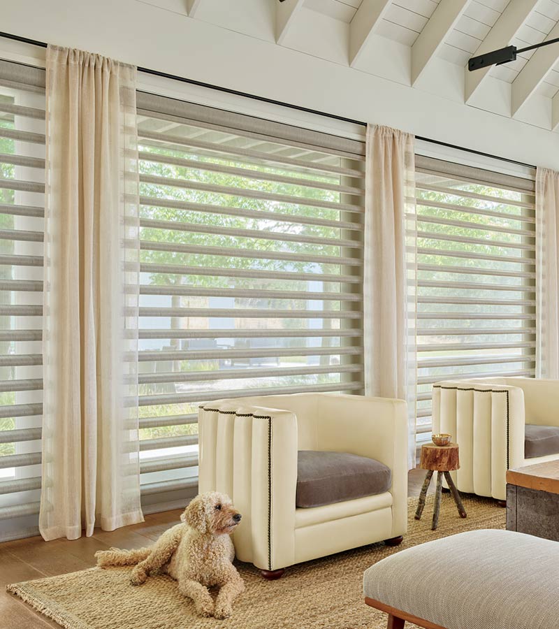 Blinds For Big Living Room Windows Cabinets Matttroy   Large Windows Alustra Pirouette Window Shadings Hunter Douglas Traditional Living Room One Stop Decorating 