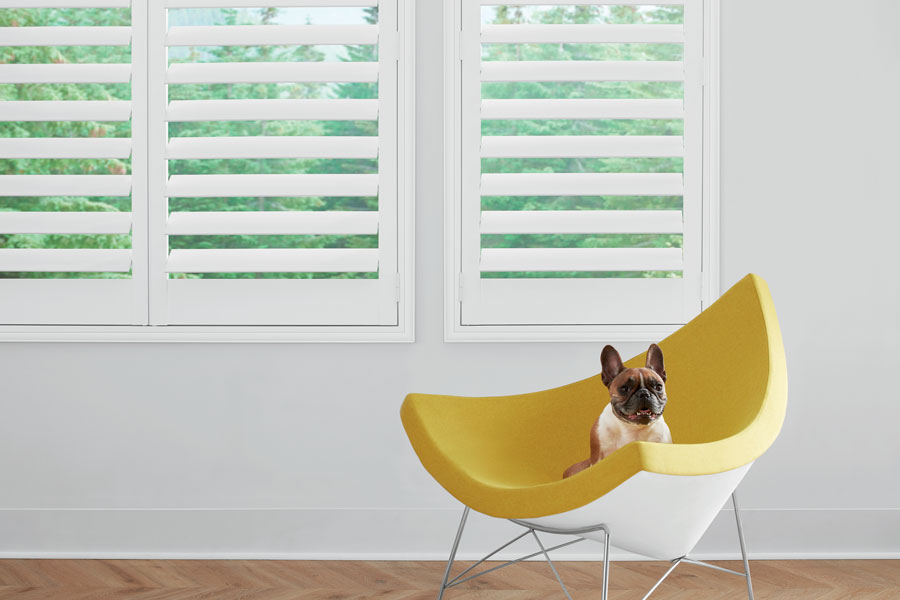 Interior shutters safe for pets