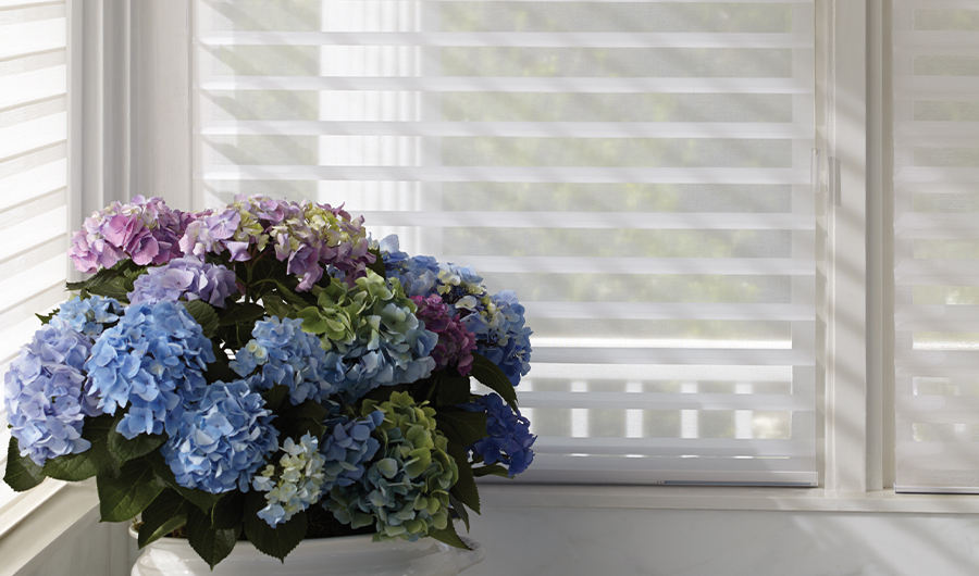 silhouette window shadings