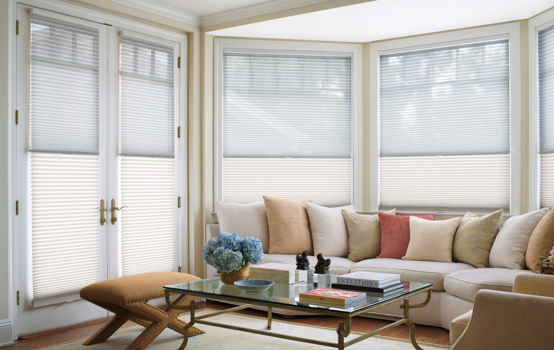 dual honeycomb window treatments for glass doors