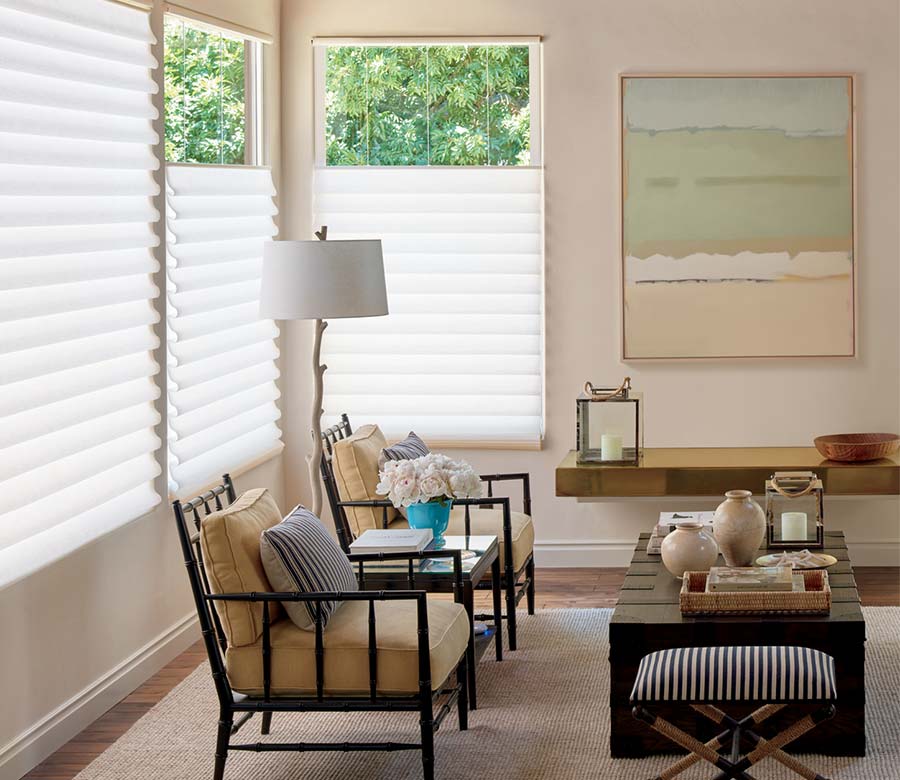 living room with top down bottom up white roman shades