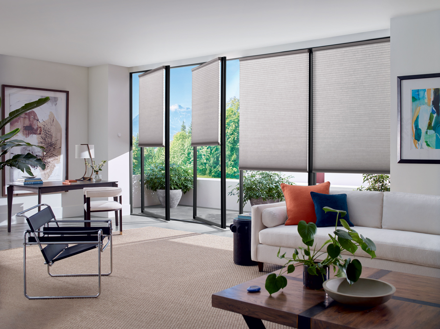 glass door window shades in Overland Park KS home