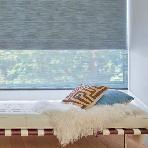 Designer Roller Shades with Dual Sheer Shade