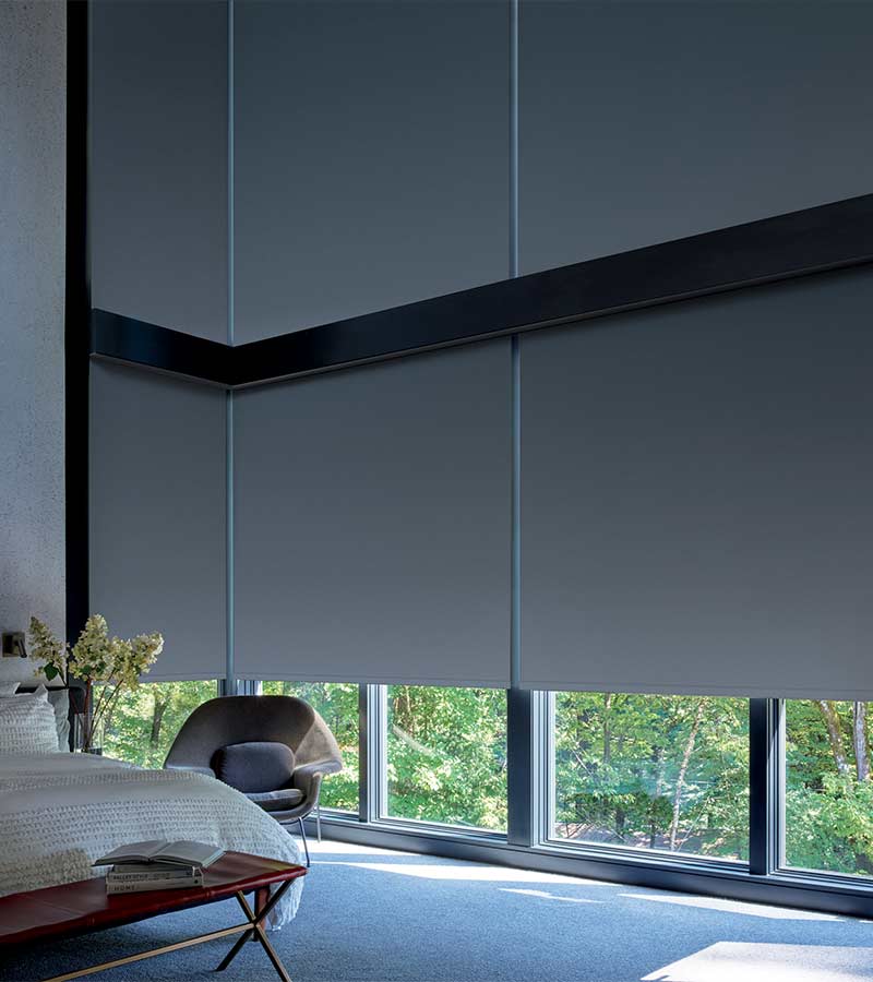 Large Window Shades, Skyline