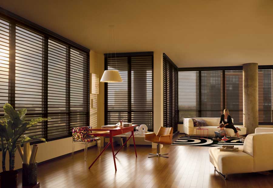 dark sheer fabric shades cover black trim windows