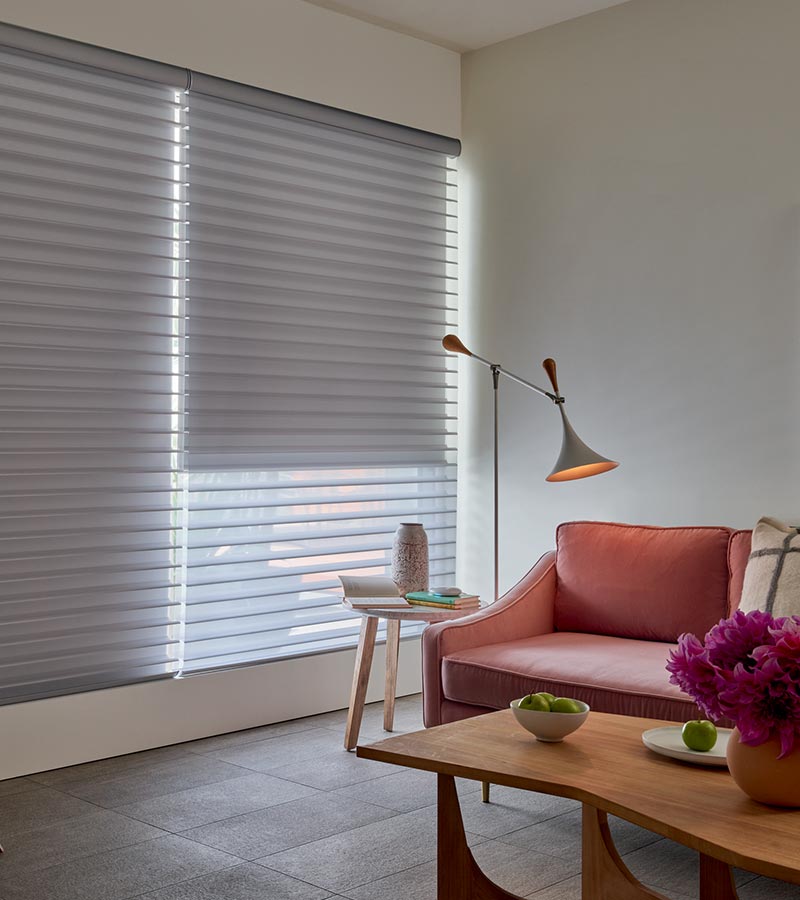 Contemporary styled living room with large window shades for light filtering overland park, KS