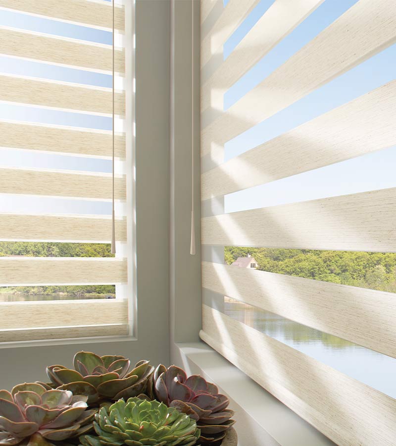 Banded shades in cream fabrics next to succulents overlooking a tranquil lake