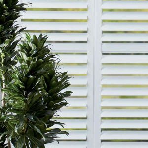 white shutter detail with green houseplant