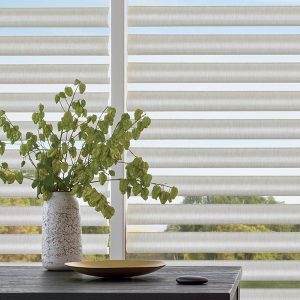 pirouette window shades with houseplant